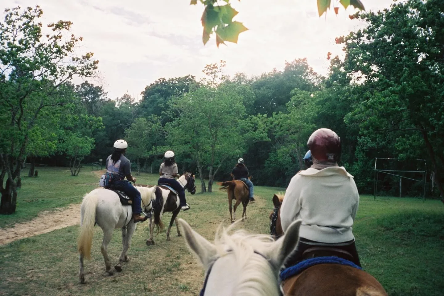 An evening ride